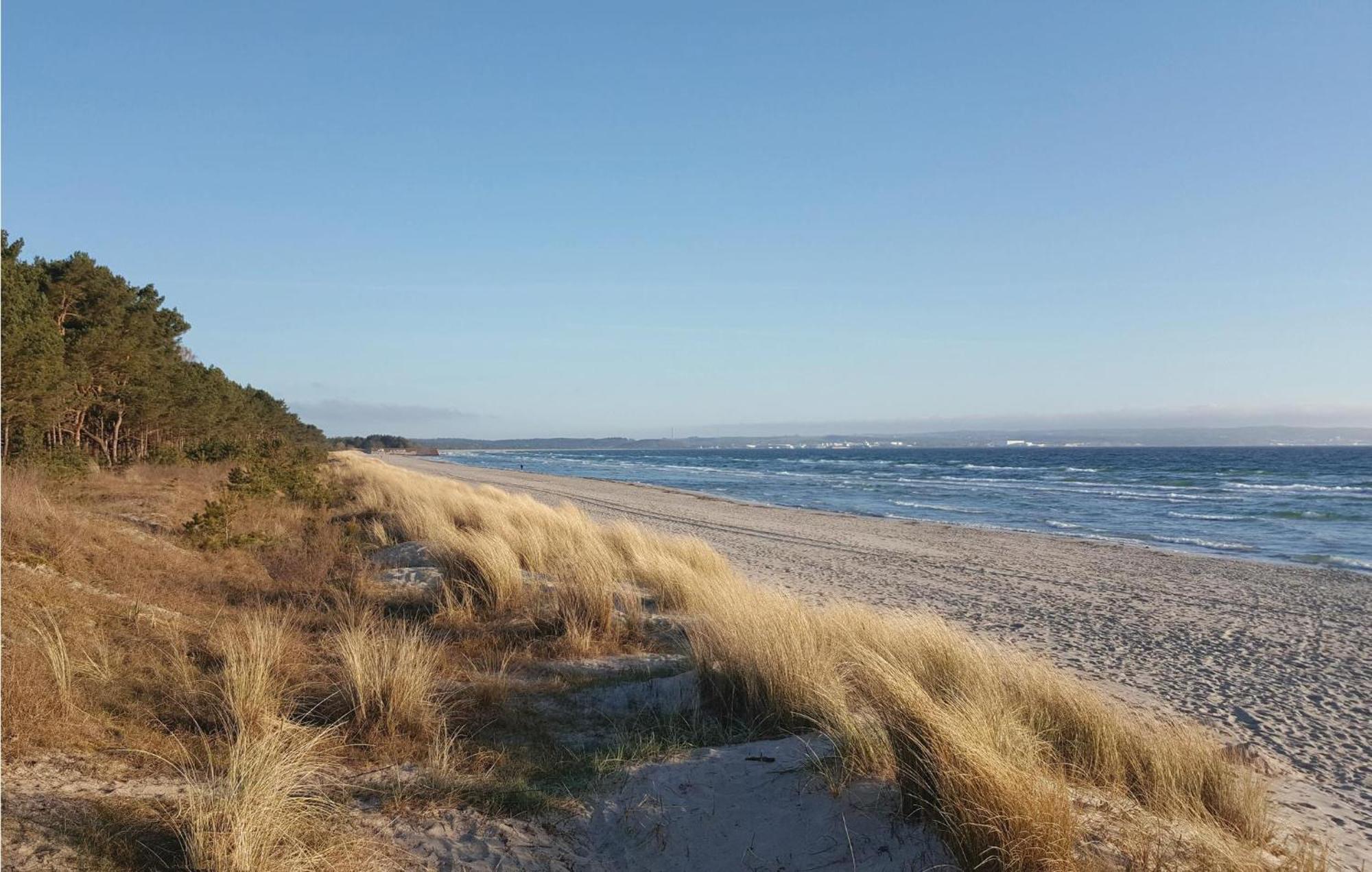 Sunny * Binz